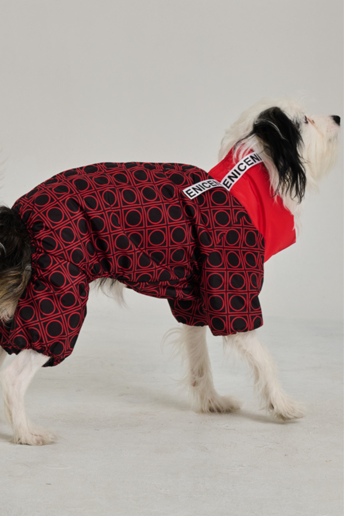 Köpek Tulumu Puffer - Jumpsuit Series - London