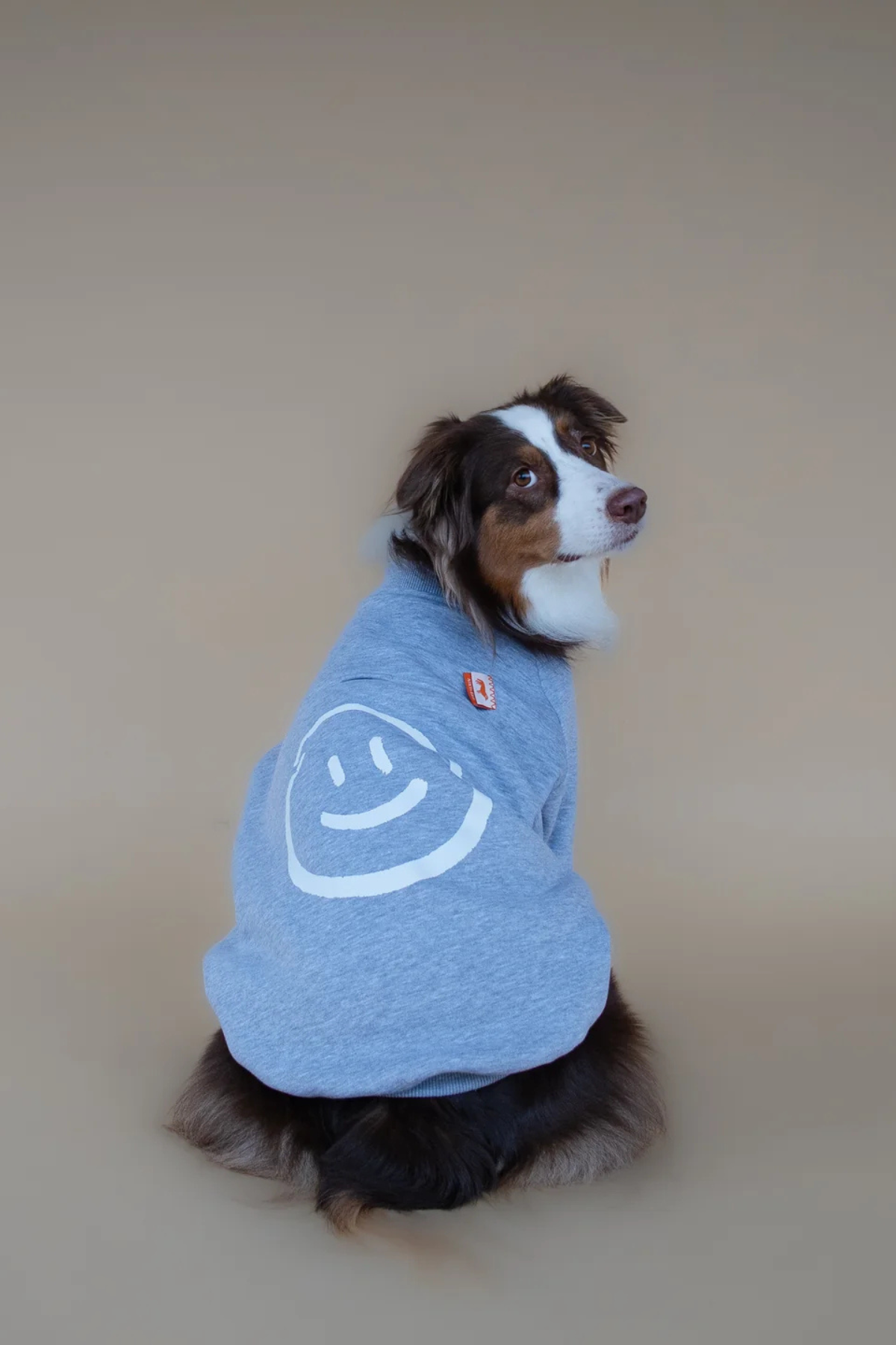 Asky&Erd Love Paws Sweatshirt | Heather Grey