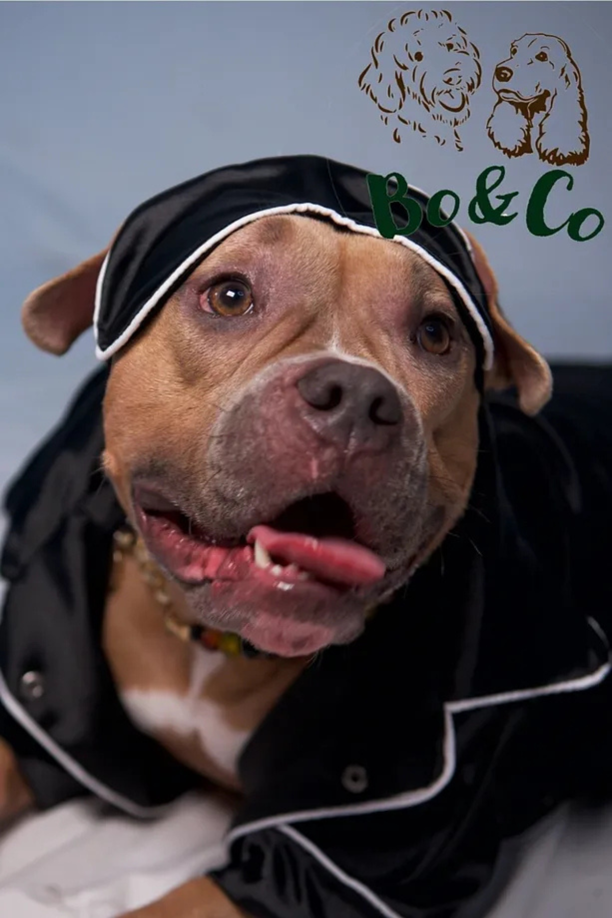 Bo&Co Siyah Saten Pijama