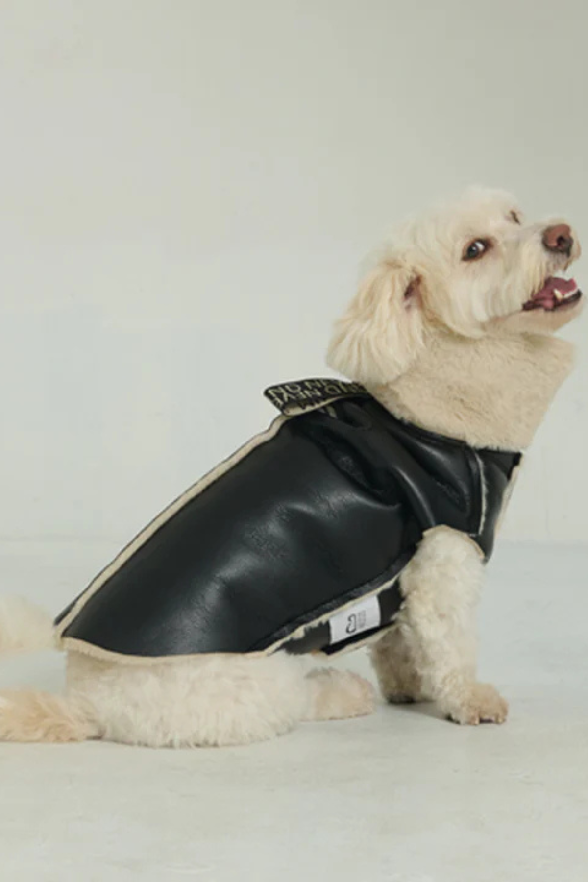 Godoist Nappa Köpek Montu - Nappa Leather Jacket