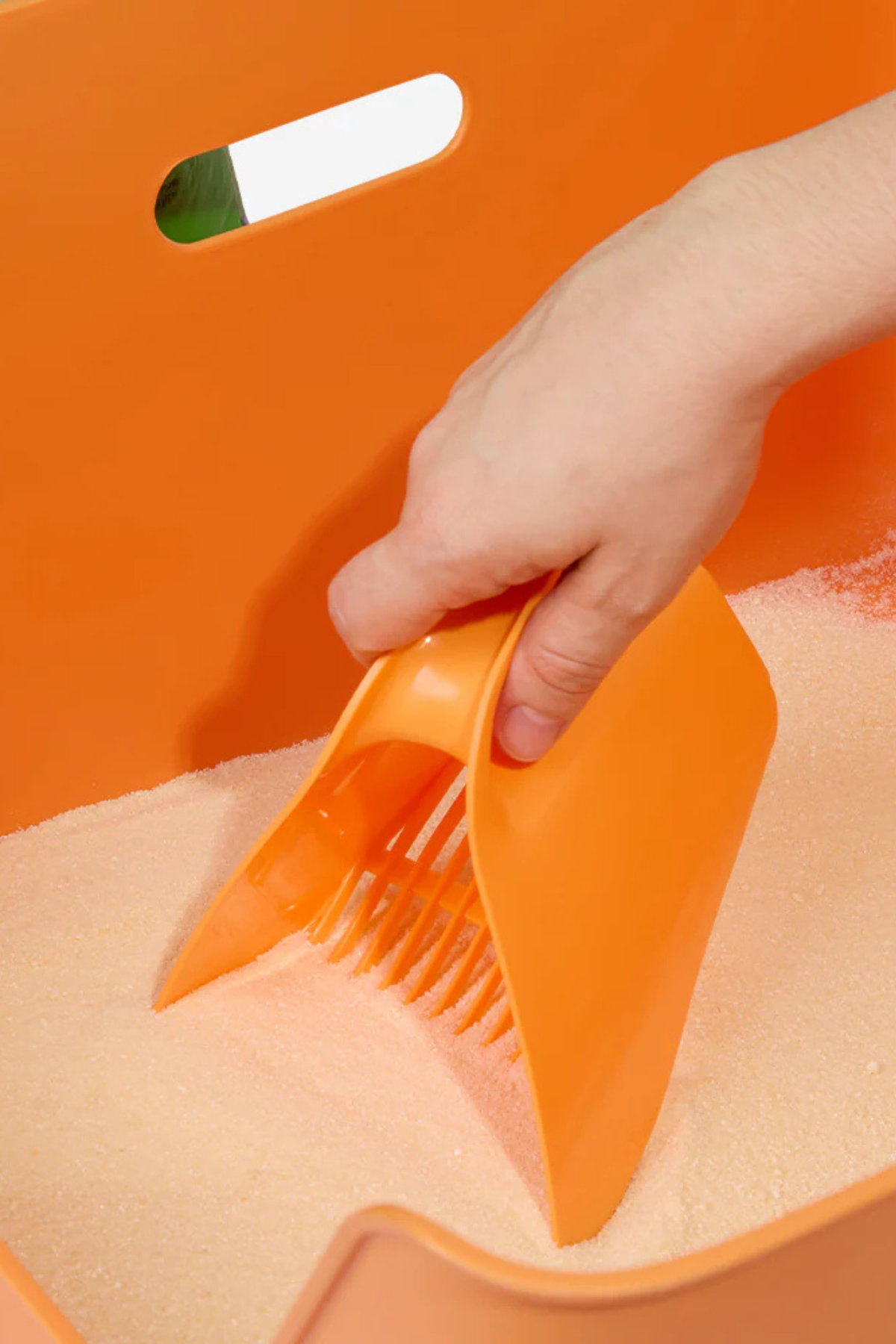 Cansei de Ser Gato –  Hijyenik Kedi Kumu Küreği -  Zee Cat