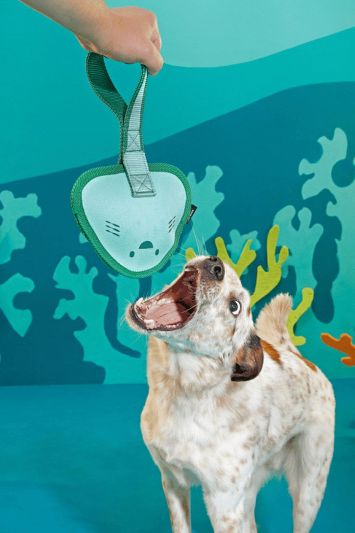 Bark Flingray Kumaş Köpek Çiğneme Oyuncağı L