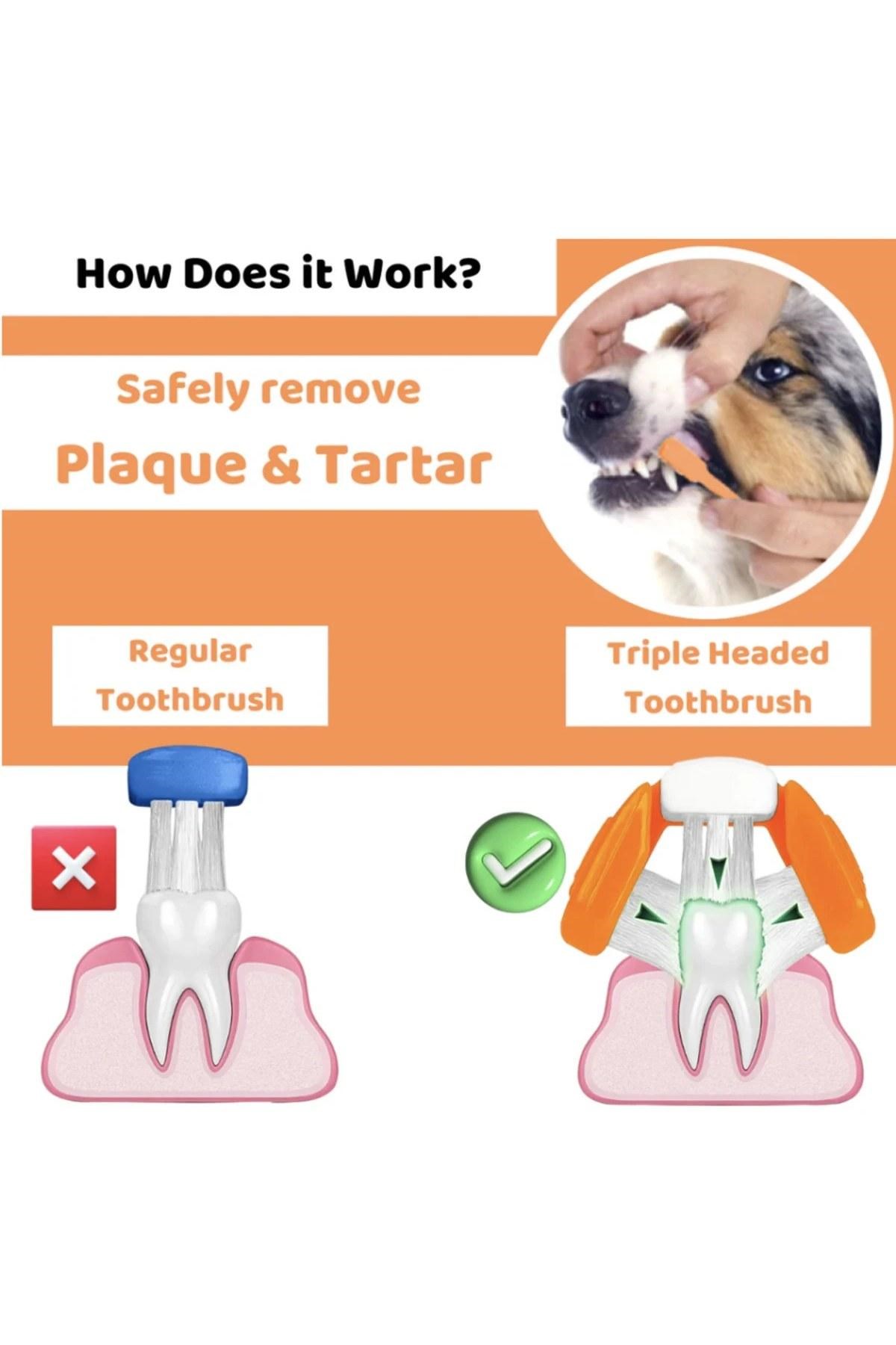 Our Dogs Life Dental Care Kit Köpek Diş Bakım Seti