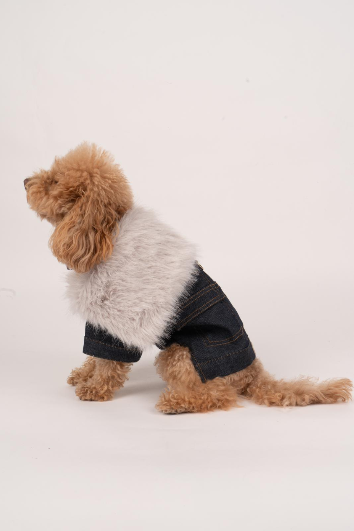 Doredog Köpek Kürklü Denim Ceket