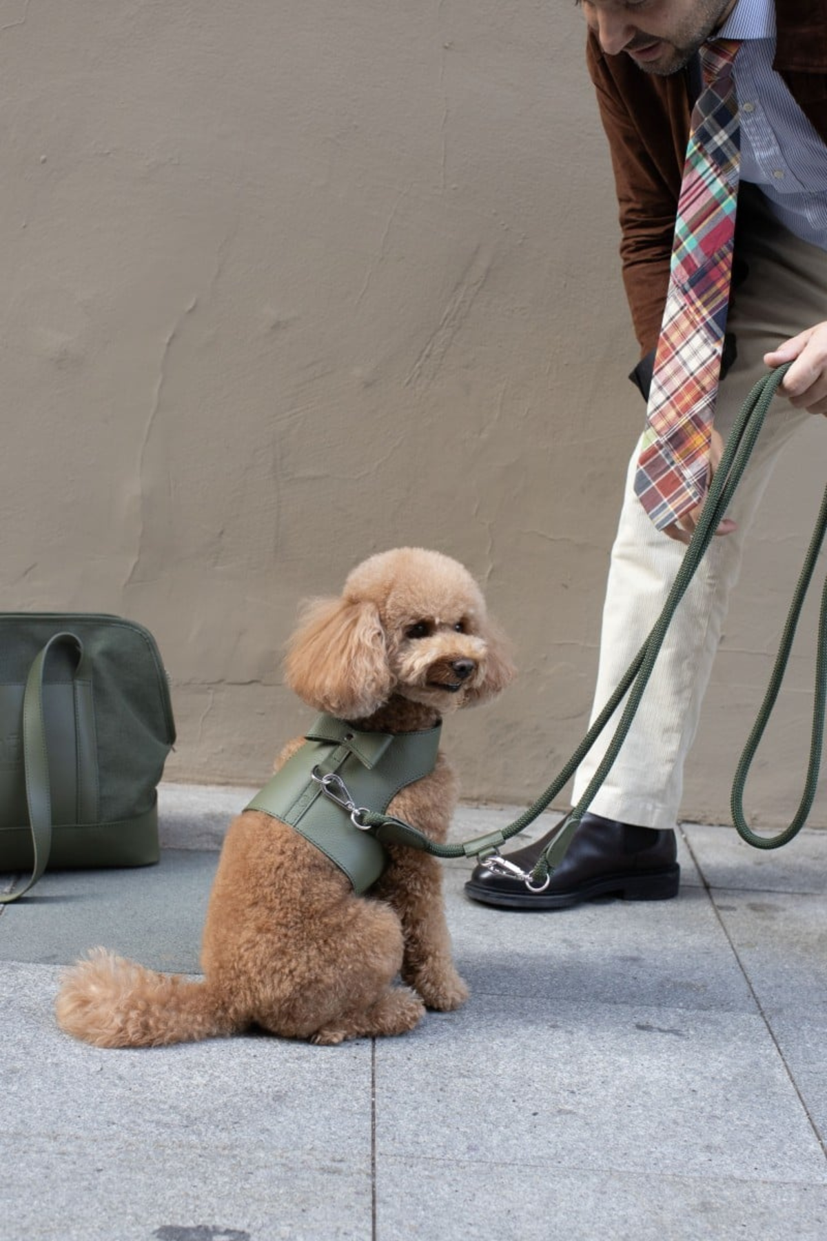 Vest Harness Set In Army Green
