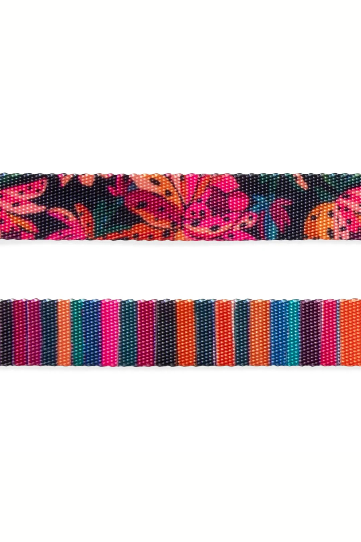 Zee.Dog Selva Köpek Göğüs Tasması - FARM Rio