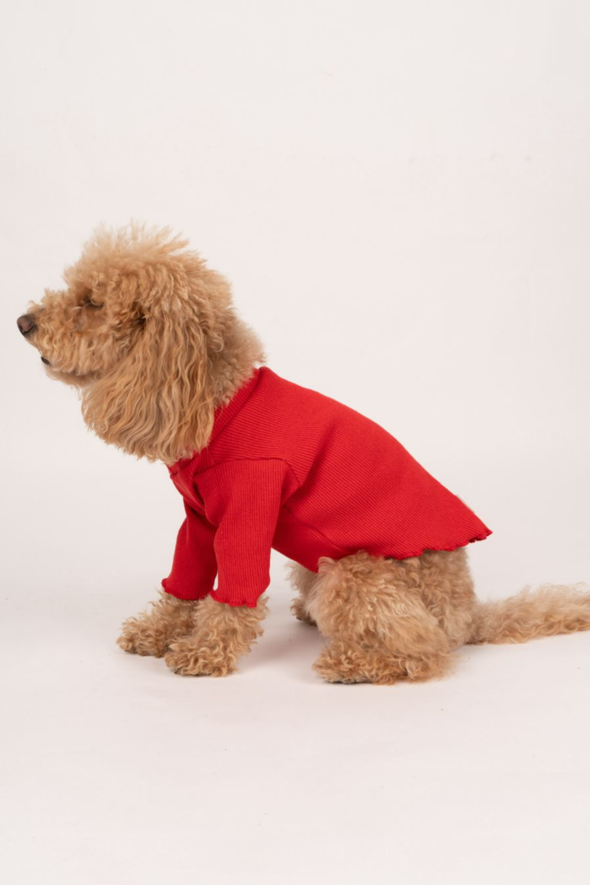 Doredog Köpek Kaşkorse Sweatshirt Kırmızı 