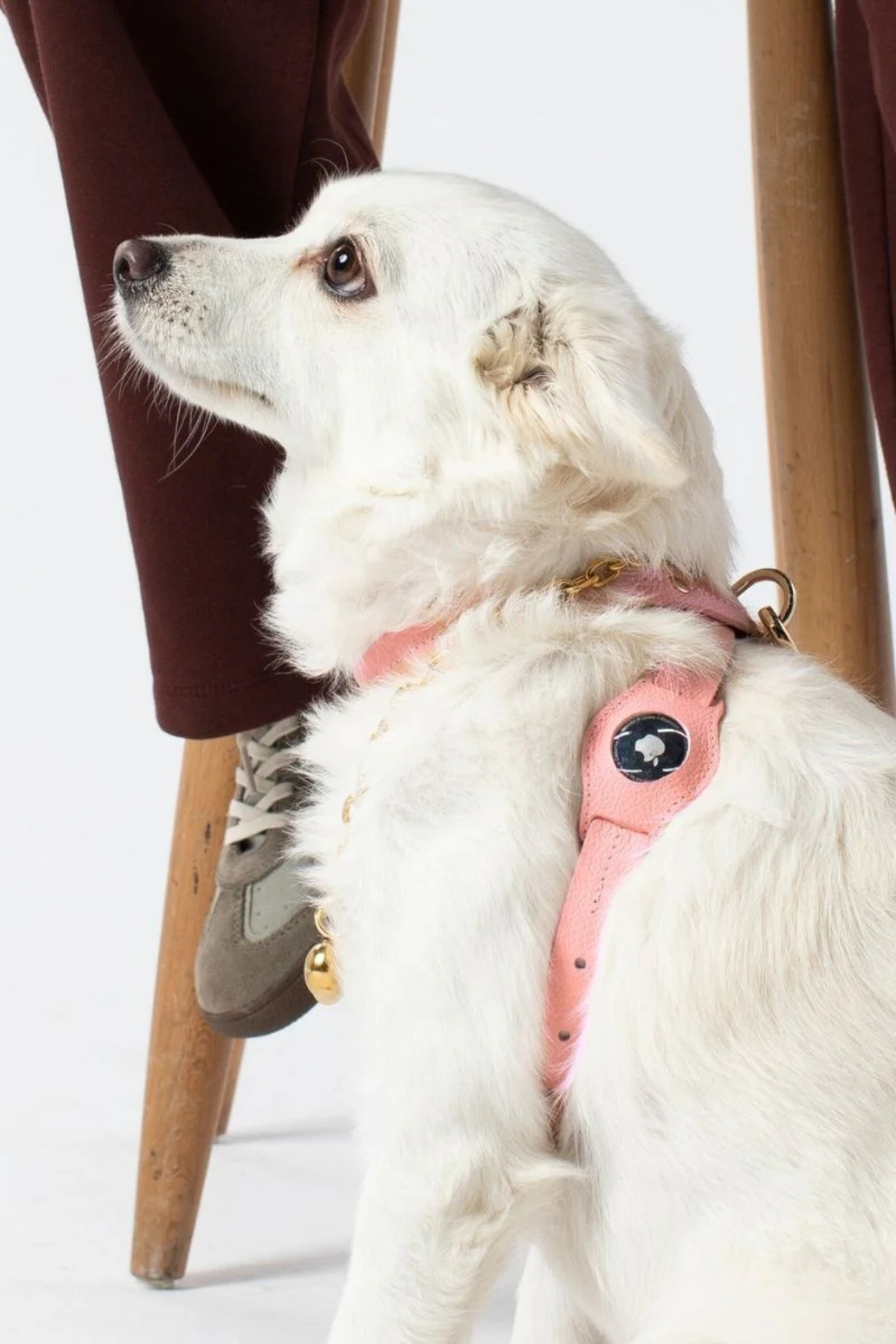 Zoe Pet Atelier Air Tag Kılıfı - Şeker Pembe