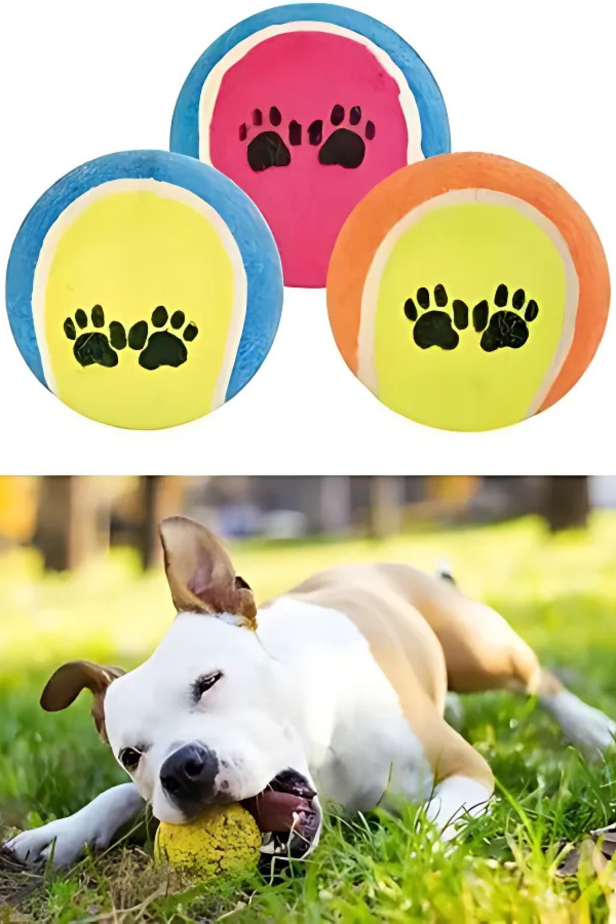 Good Boy 3lü Tenis Topu 