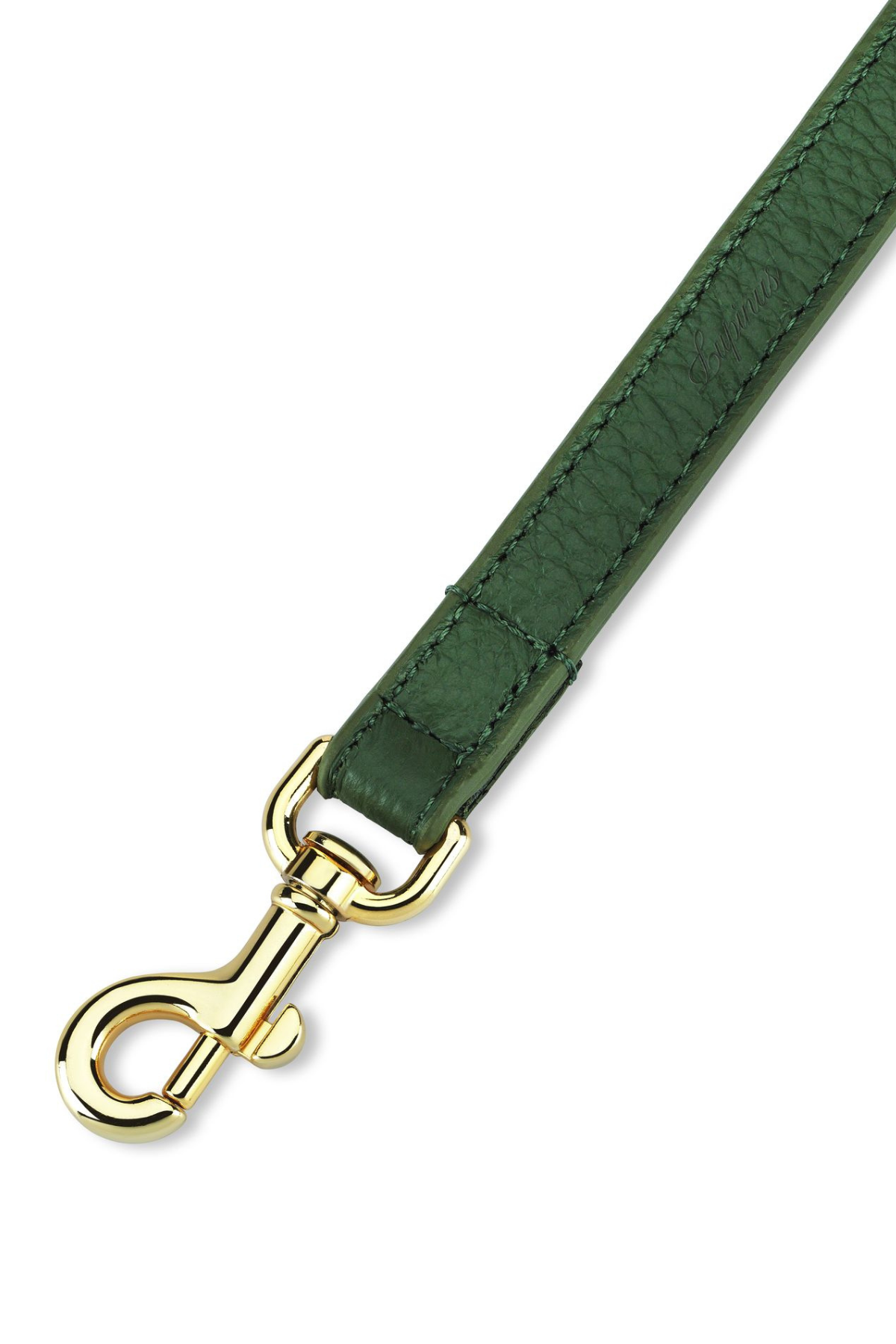 Grand Monarch Viridis Köpek Gezdirme Kayışı