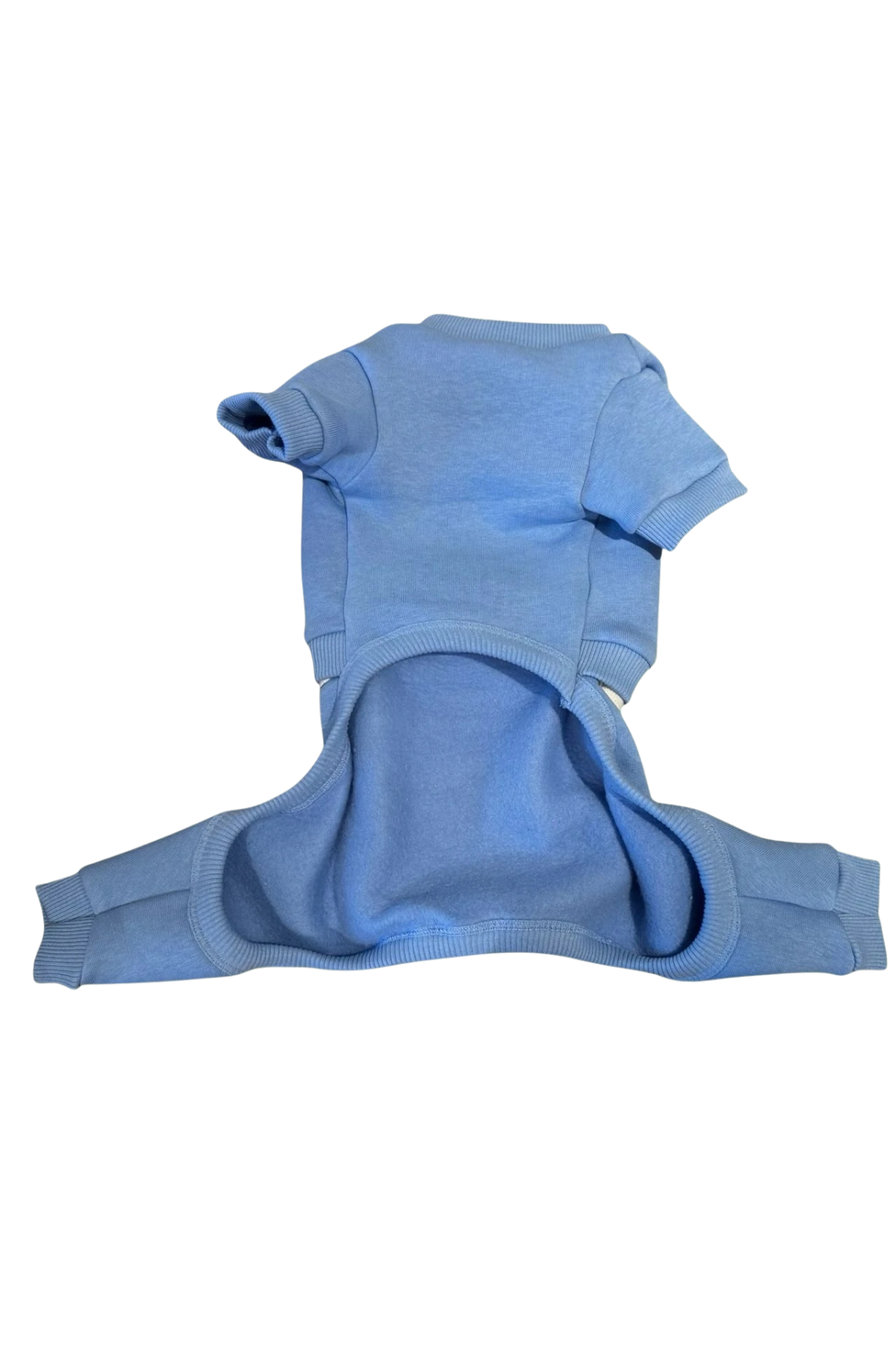 ZiggyDog Eşofman Takımı Açık Mavi