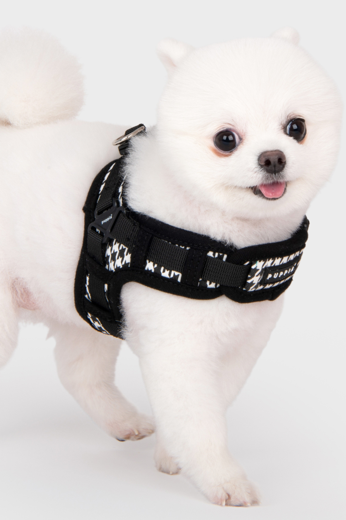 Egon Harness X Köpek Göğüs Tasması Siyah 