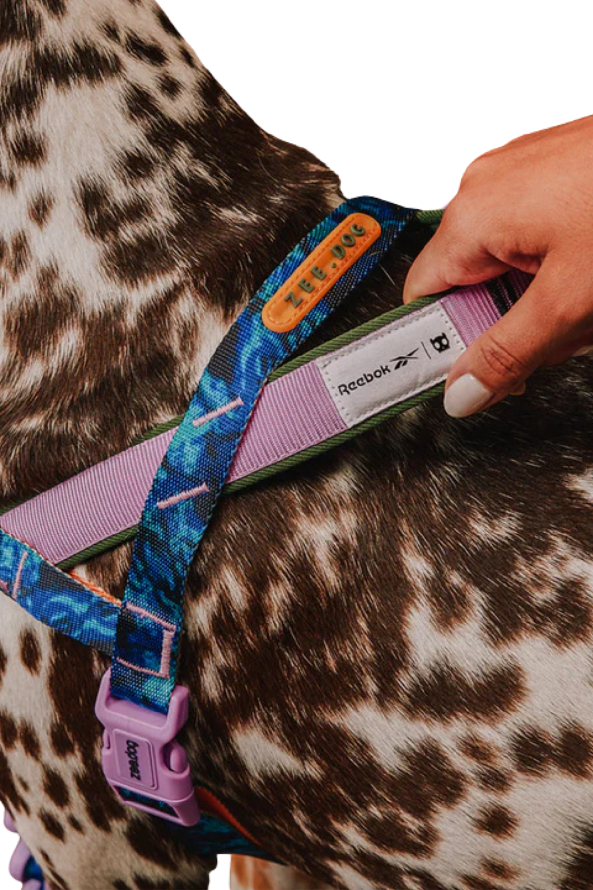 Zee.Dog Reebok x Zee.Dog Trekk Softer Walk Göğüs Tasması