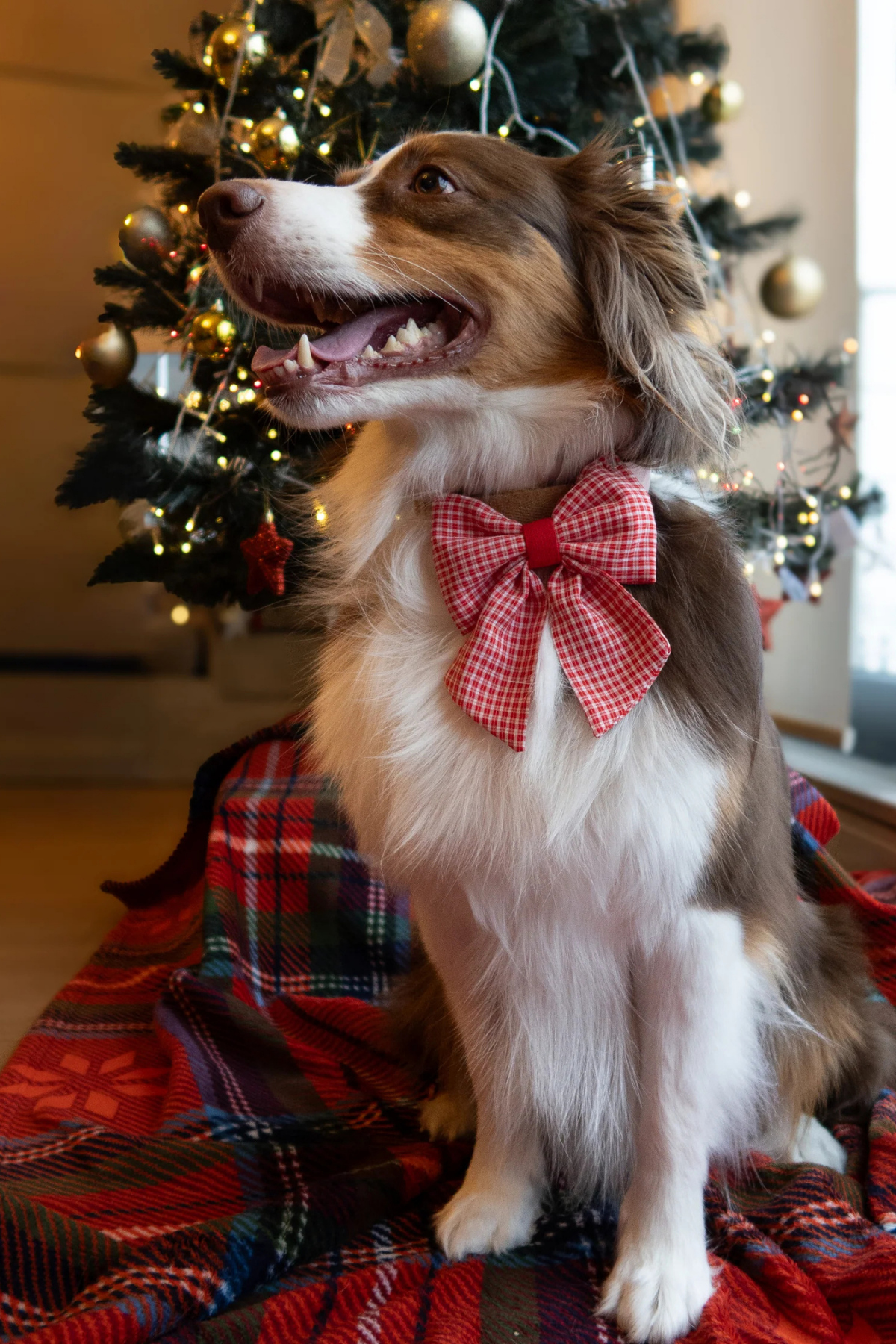 Asky And Erd Ribbon Bow Gingham Grace 