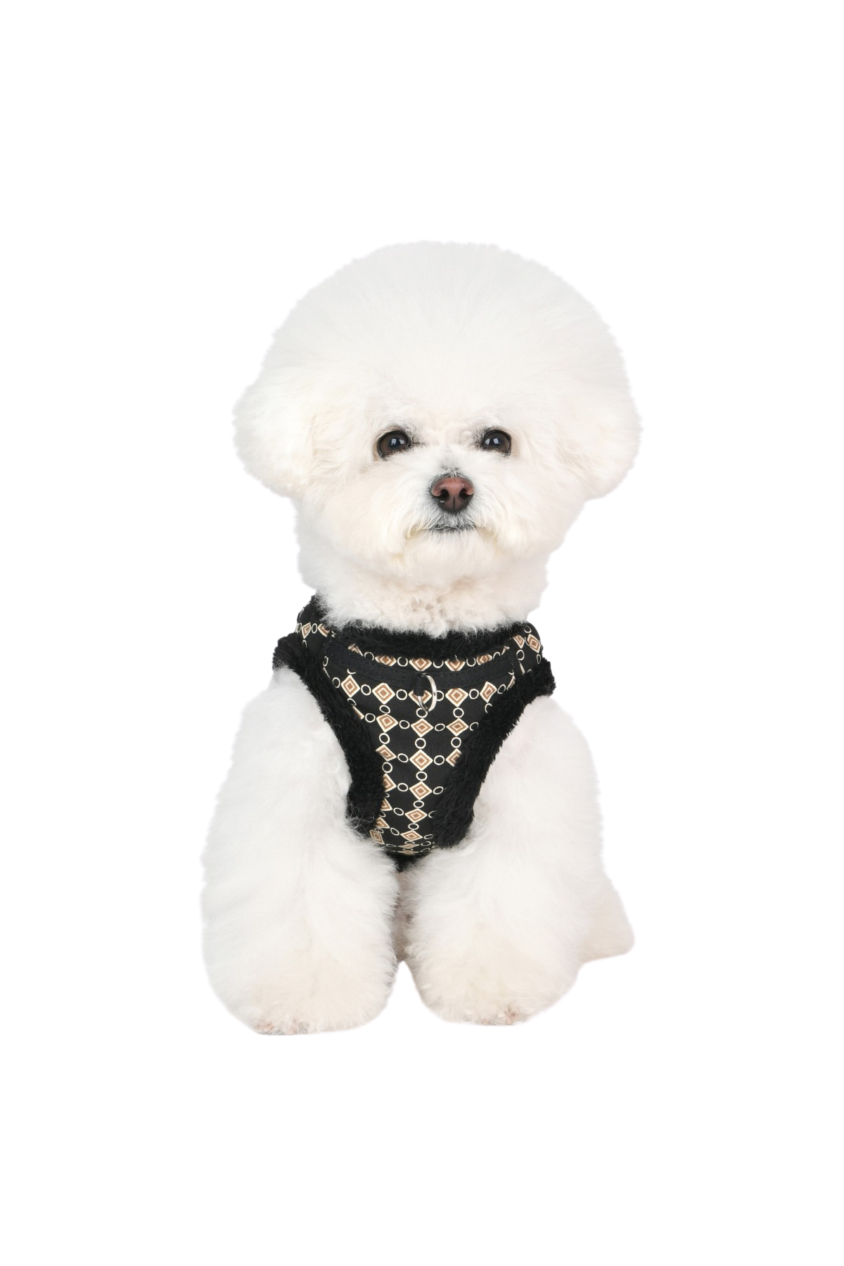 Puppia Jace Vest Köpek Göğüs Tasması - Siyah