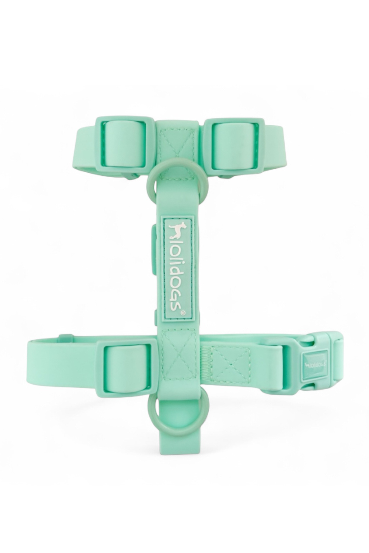 Lolidogs Dream Collection | Köpek Göğüs Tasması Minty