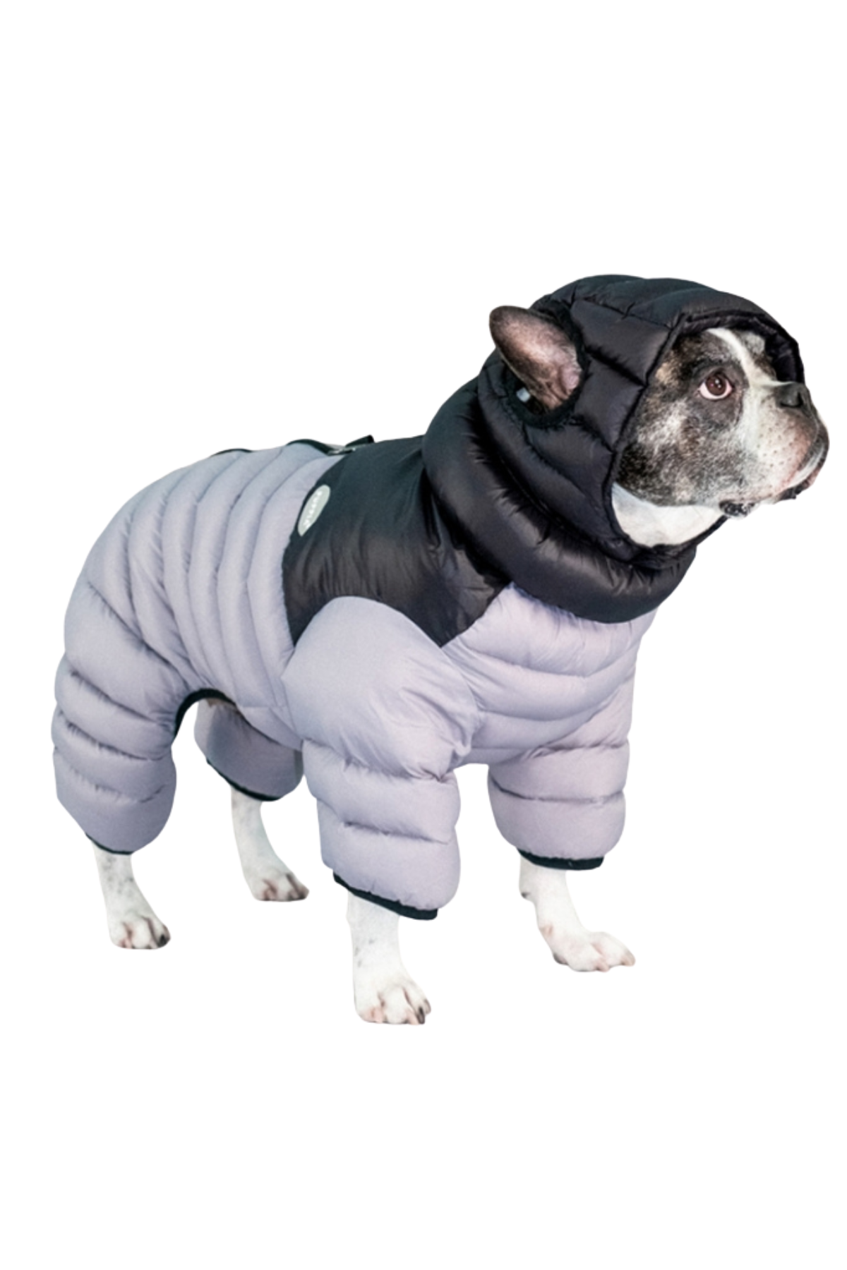 Puppia Alpine Puffer Termal Köpek Tulumu - Gümüş Gri
