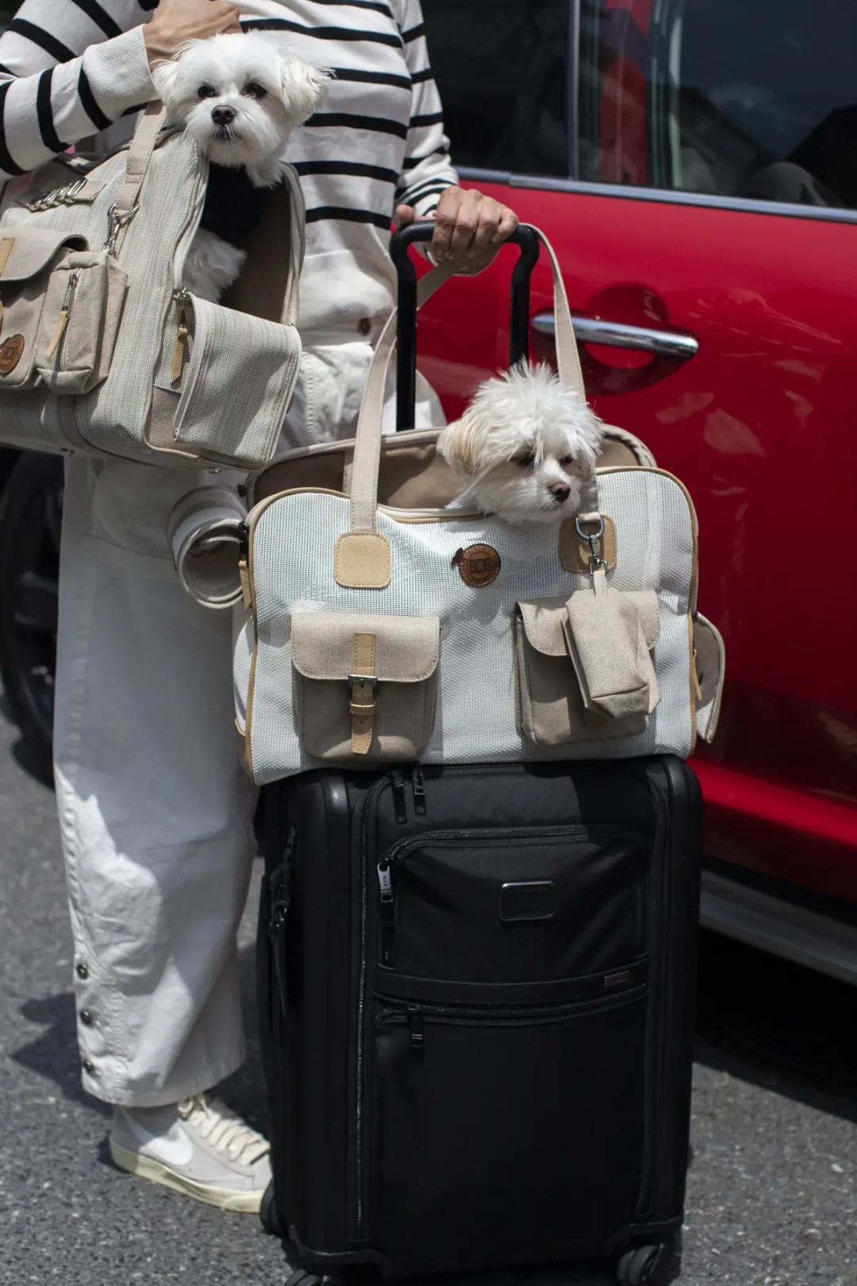 Bonchic boncoco Carrier Beige Taşıma Çantası 