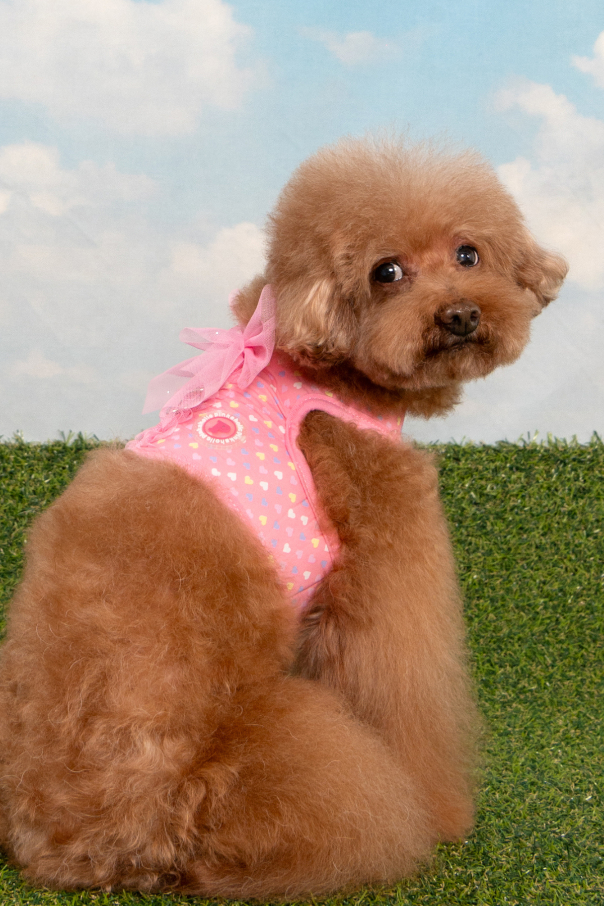 Pinkaholic New York Mabel Harness Köpek Göğüs Tasması Pembe 