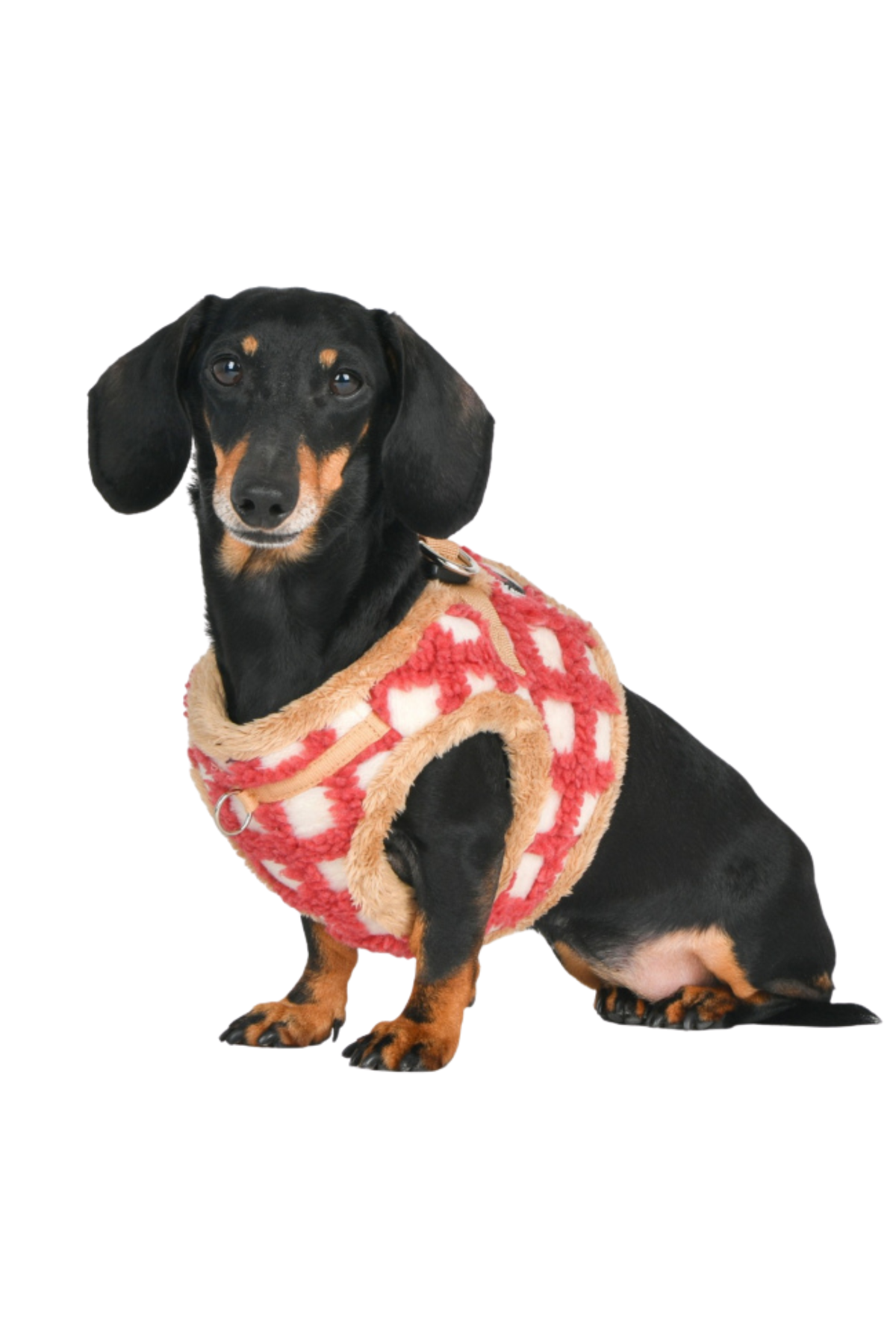 Puppia Stefan  Köpek Göğüs Tasması - Mercan