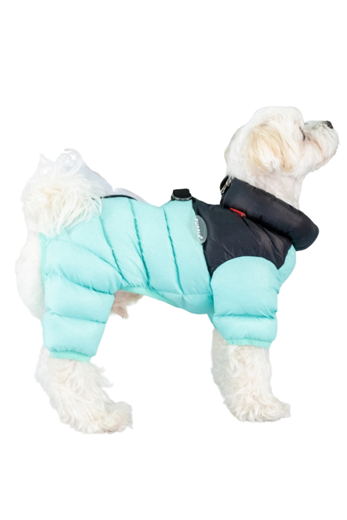 Puppia Alpine Puffer Köpek Tulumu - Mint Yeşili