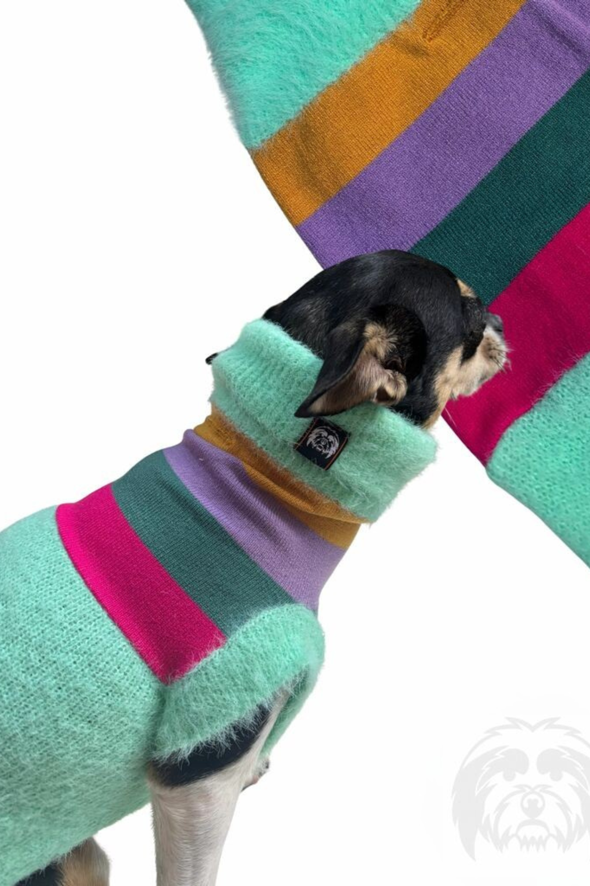 Suchkin Bloom (New) Köpek Kazağı