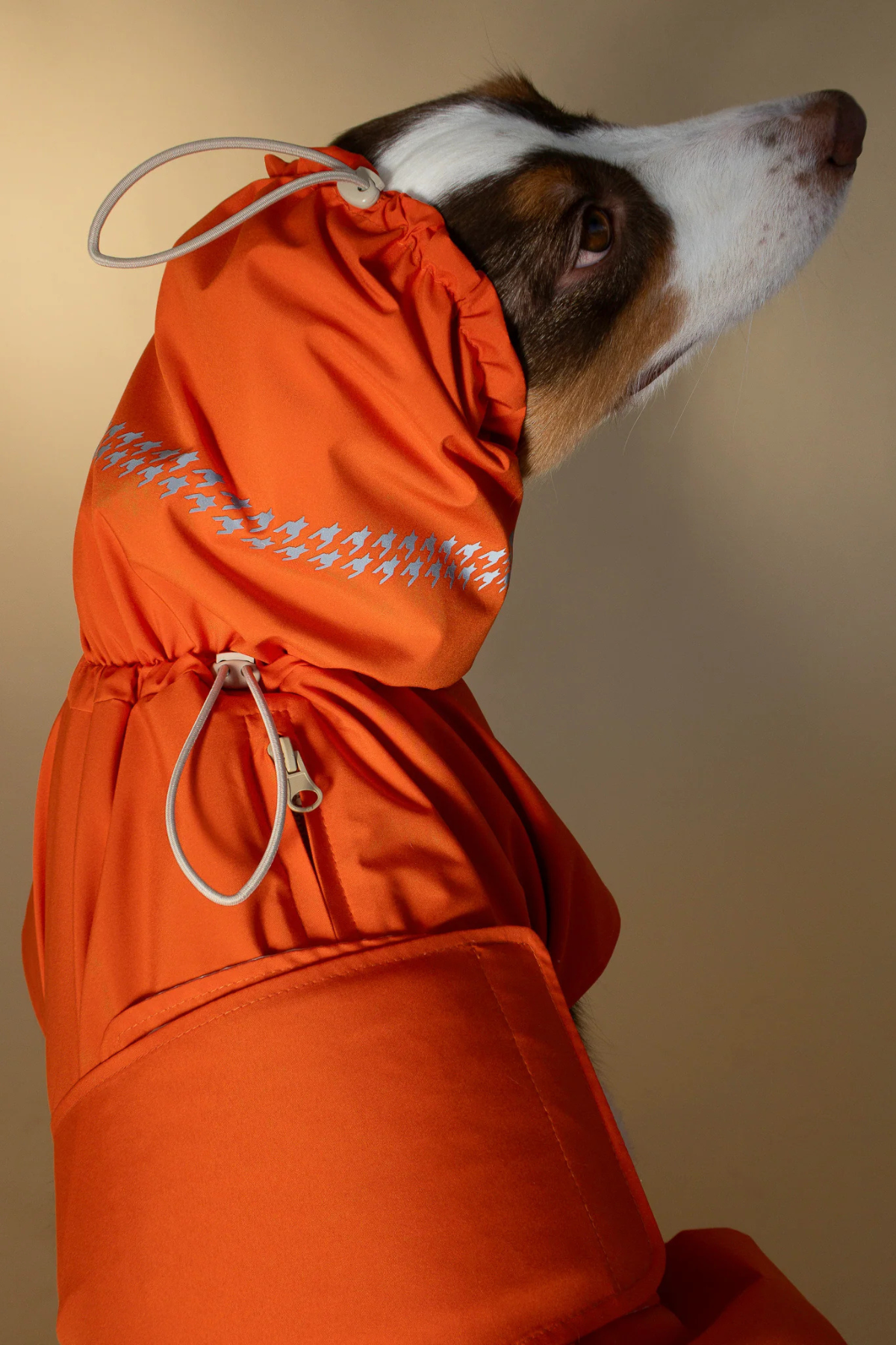 Seattle Raincoat | Amber Glow