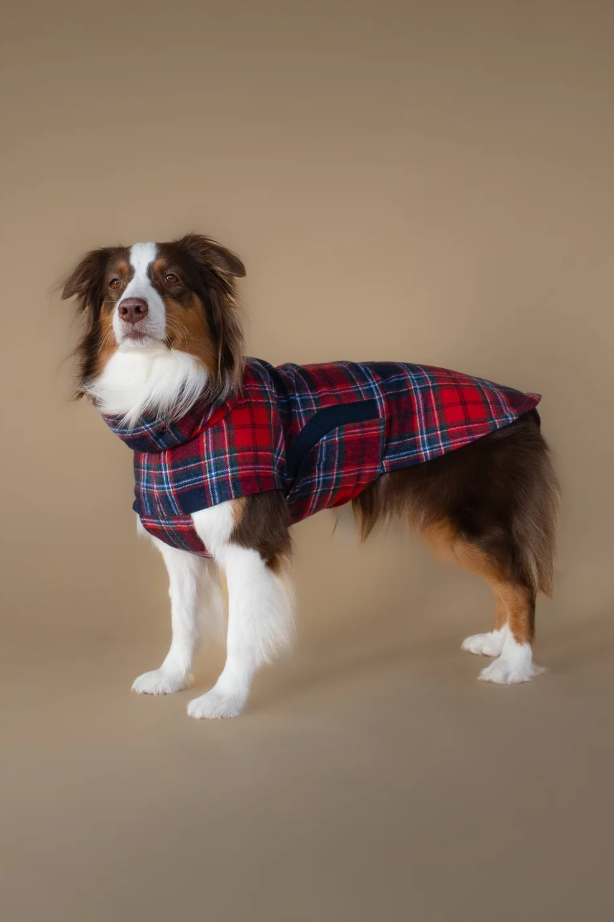 Asky&Erd Chicago Vest Crimson Tartan Plaid 