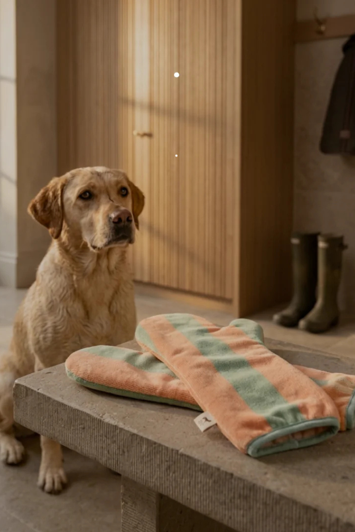 Asky&Erd Soft Rituals Köpek Kurulama Eldivenleri Seafoam ve Somon Rengi Çizgili Pijamalar ve Bornozlar