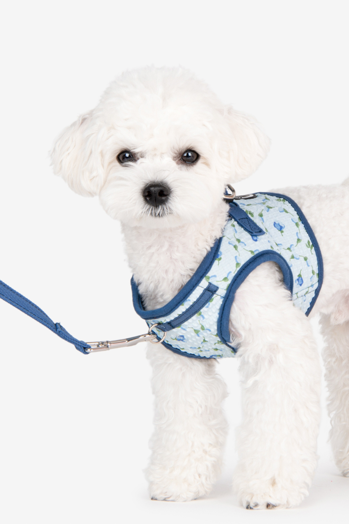 Florian Harness B Köpek Göğüs Tasması Mavi