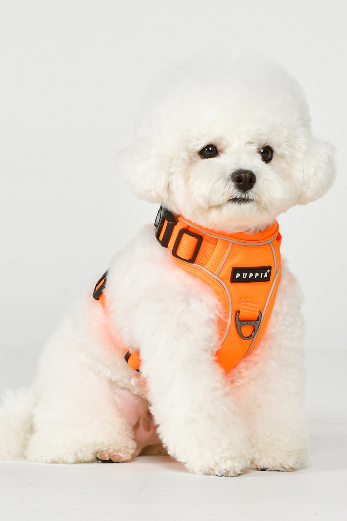 Puppia Neon Harness H Göğüs Tasması Turuncu 