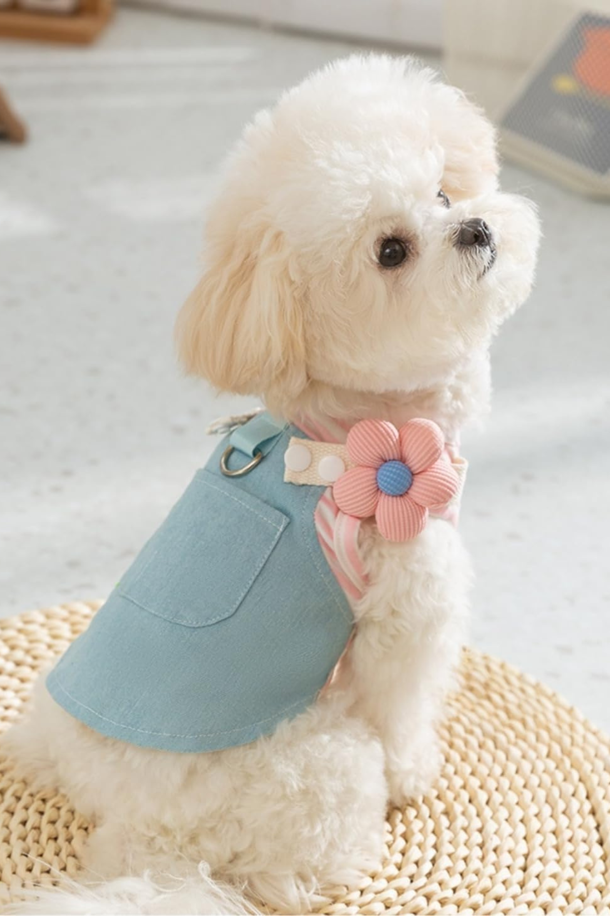 DolcePets Flower Tasmalı Kot Elbise