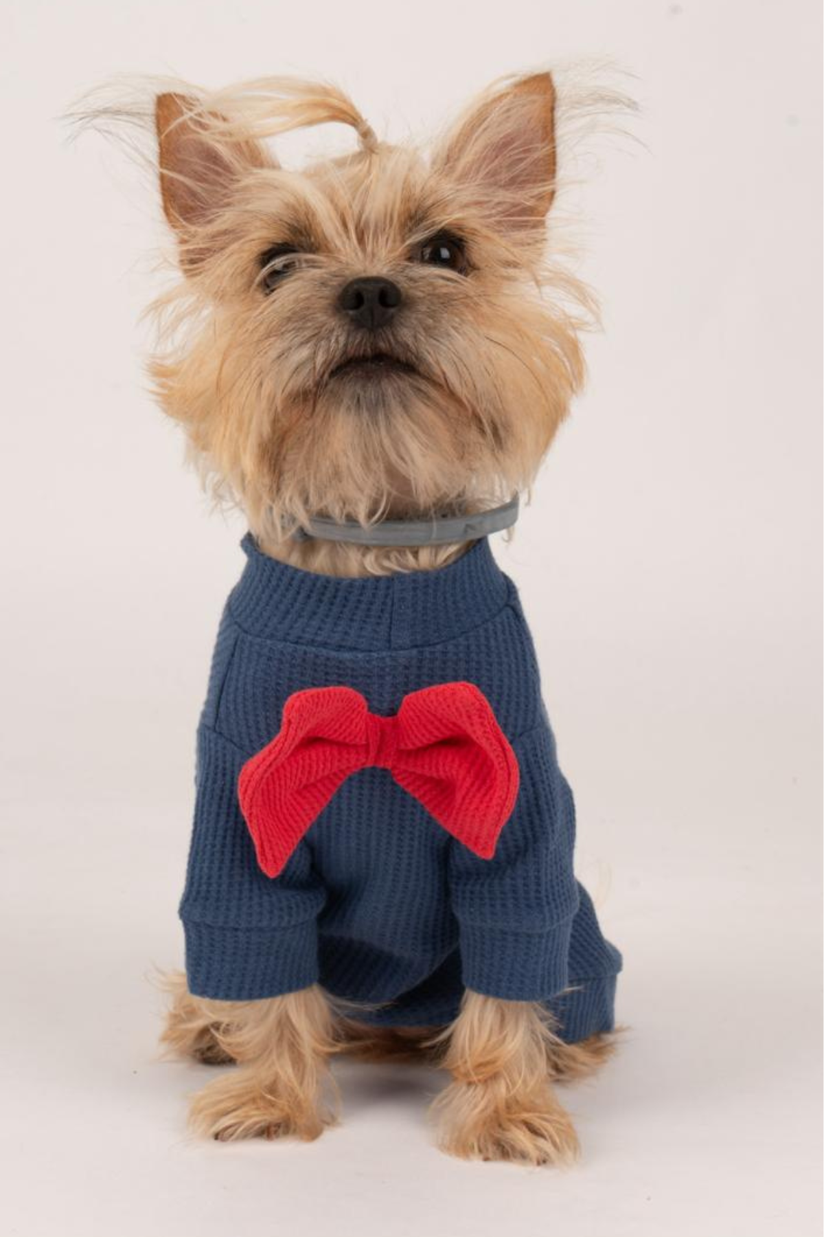Doredog Woofle Mavi Papyonlu Tshirt