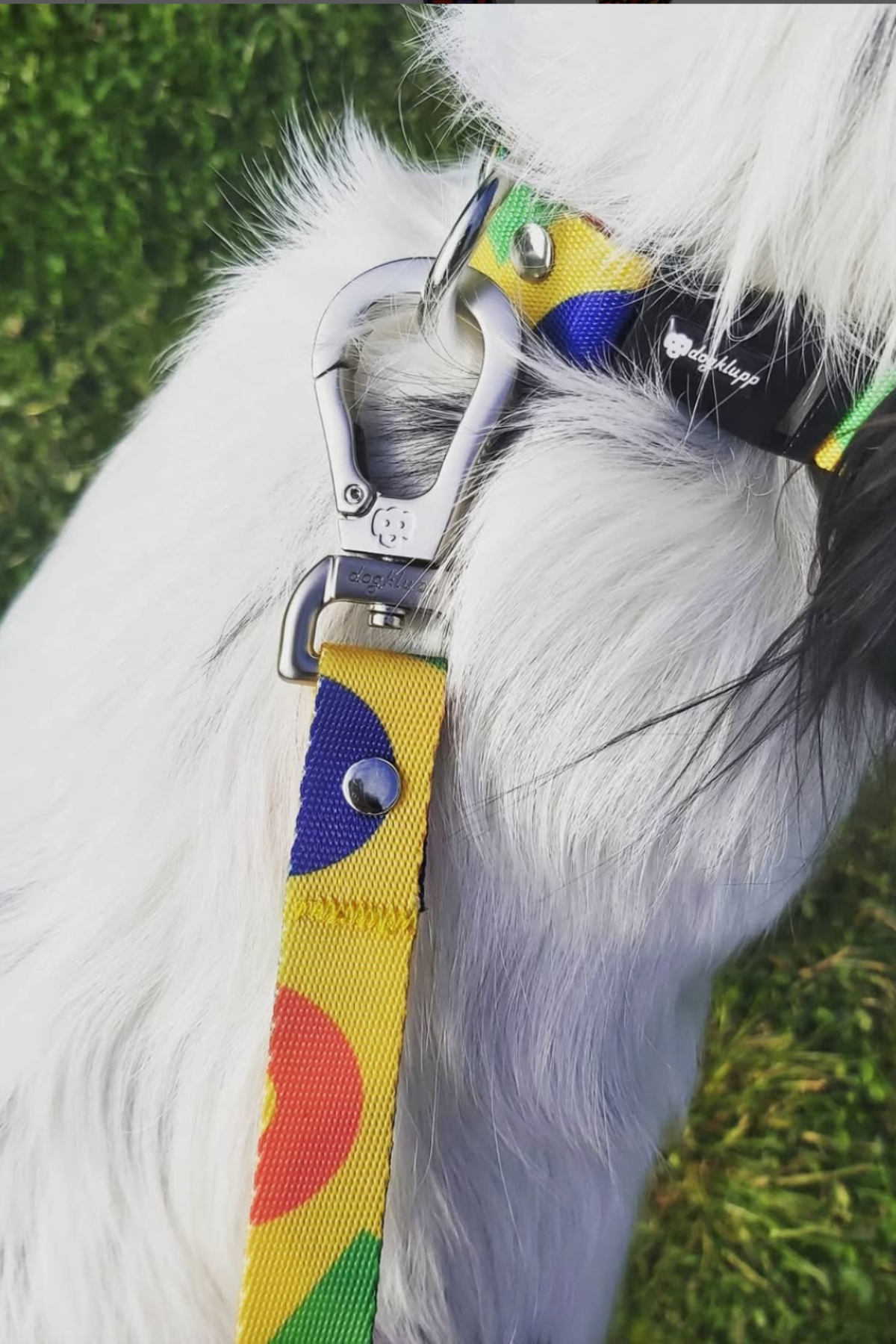 Dogklupp Yellow Happiness Gezdirme Kayışı 