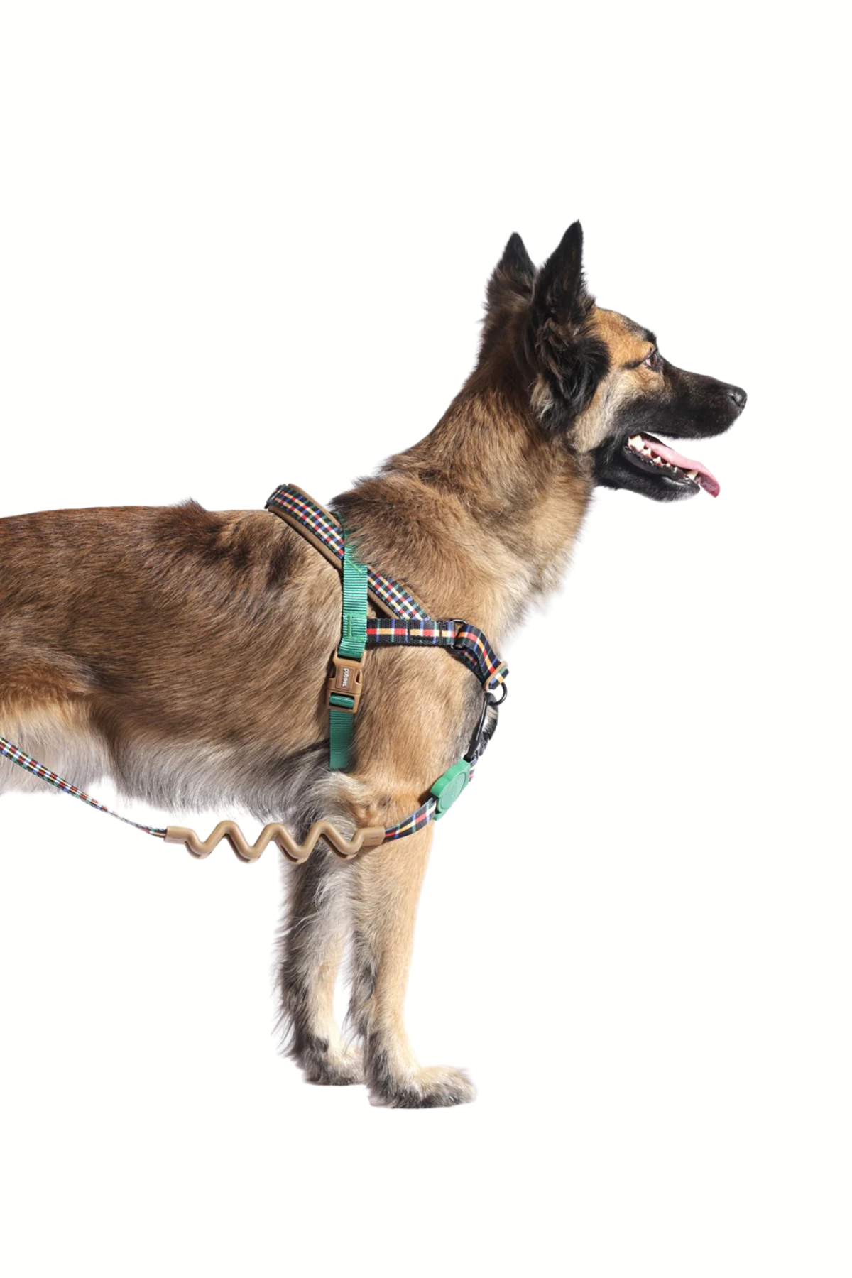 Zee.Dog Travis Softerwalk Köpek Göğüs Tasması