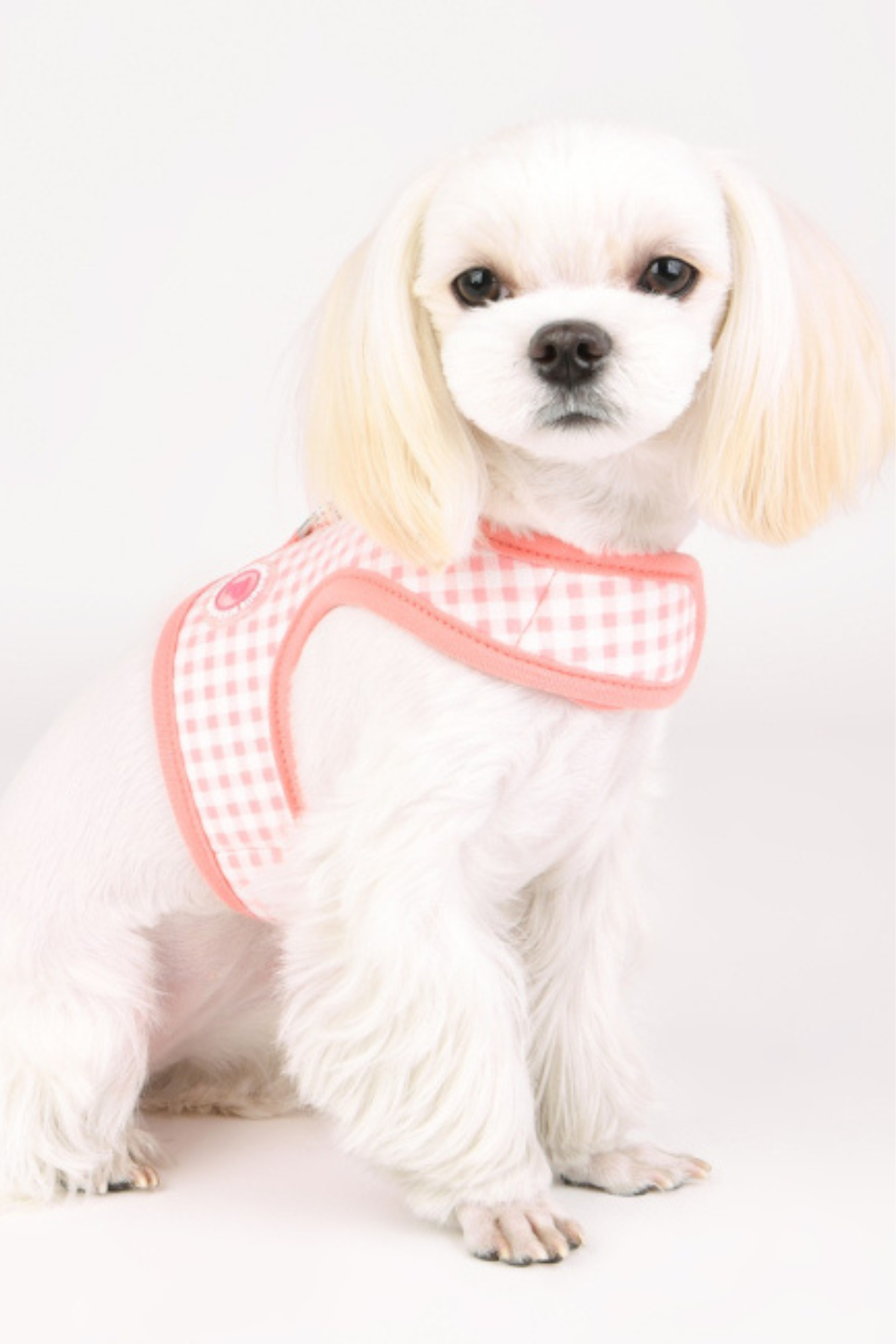 Pinkaholic New York Alaia Pinka Harness Göğüs Tasması Pembe