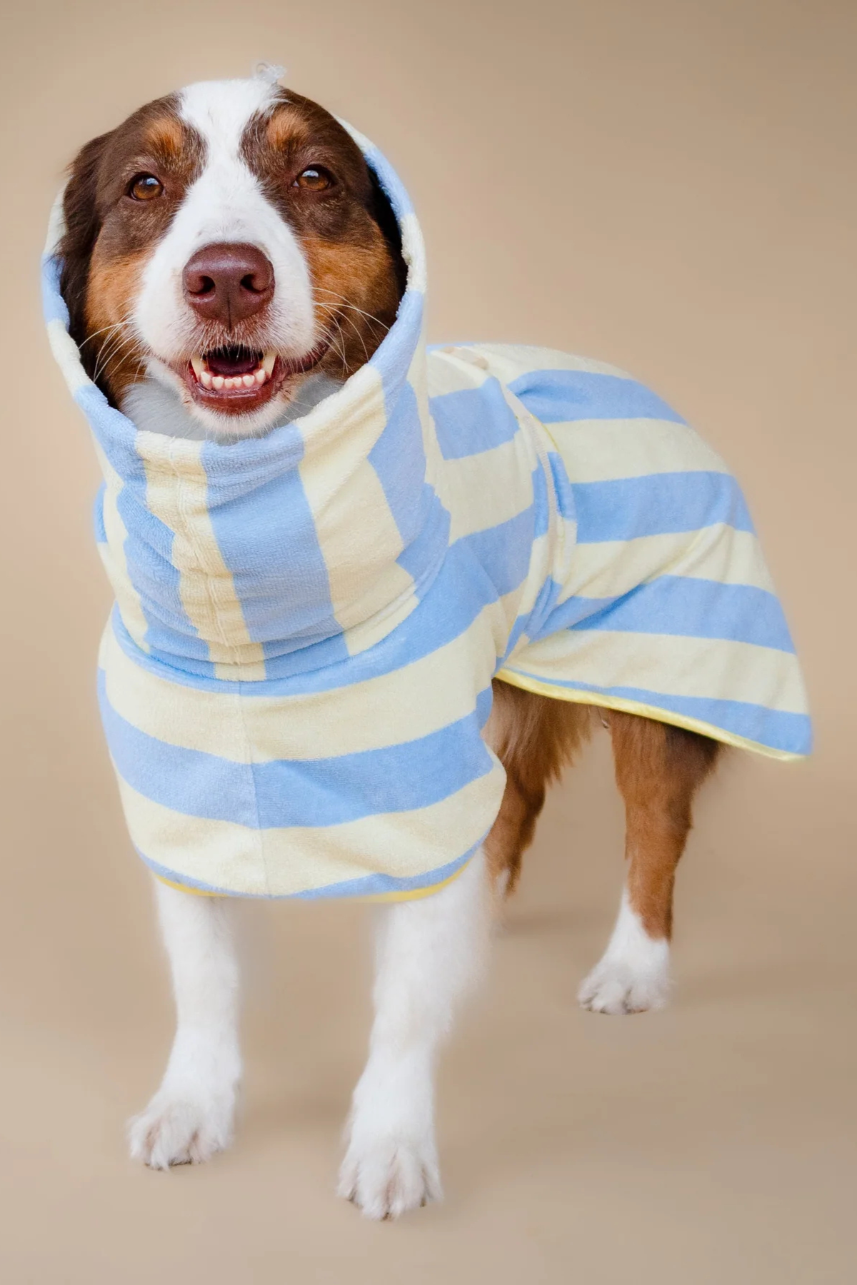 Asky&Erd Soft Rituals Cepli Köpek Kurulama Havlusu Butterscotch Çizgili Pijamalar ve Bornozlar
