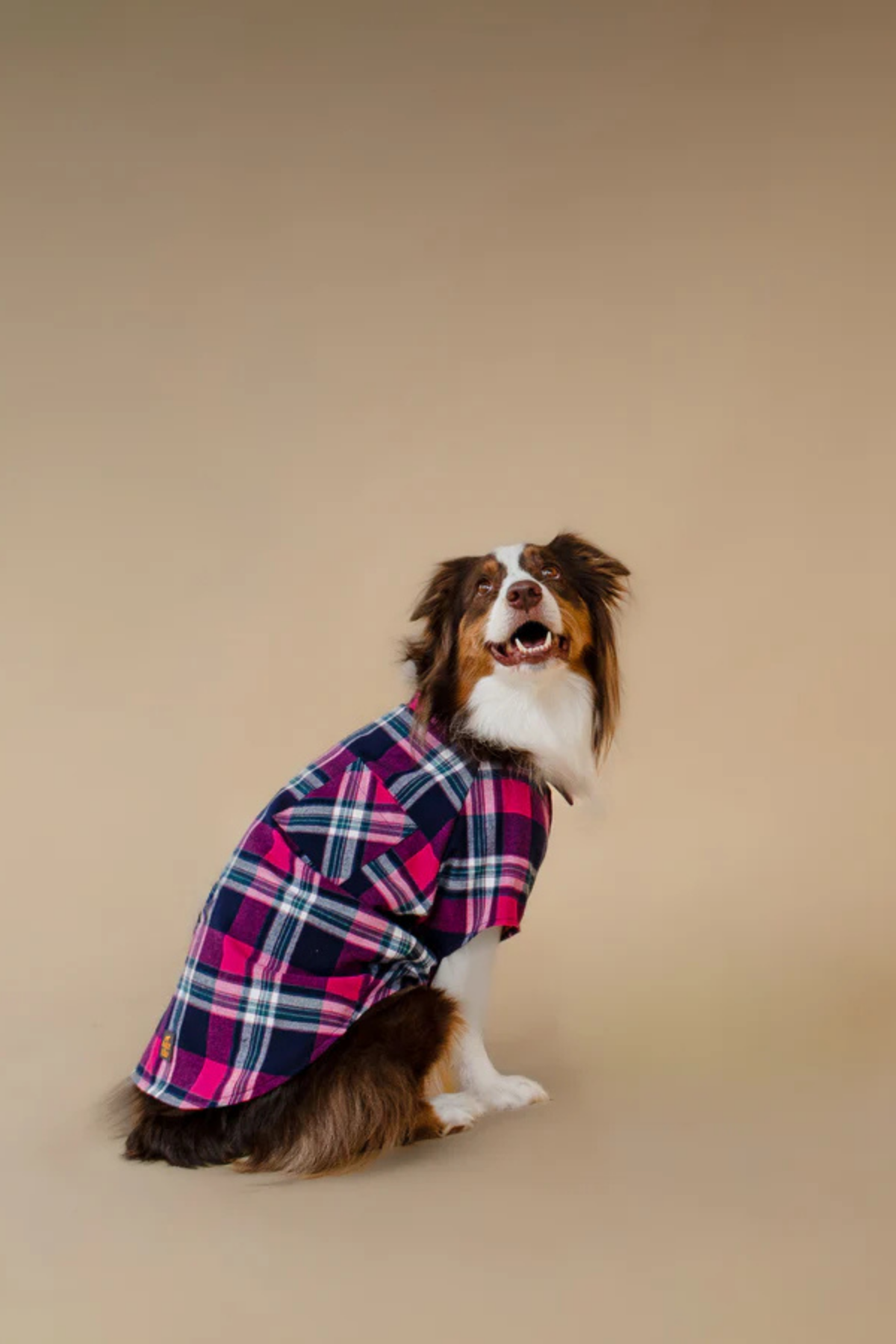 Asky&Erd Plaid Shirt Midnight Berry