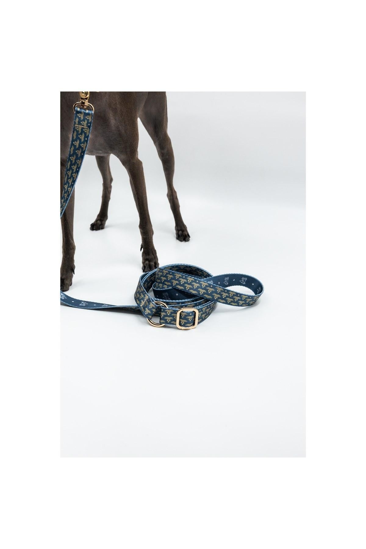 Lupinus Atelier Flexus Marinus x Chintamani Köpek Gezdirme Kayışı