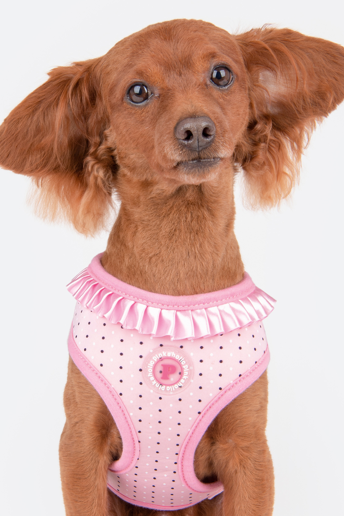 Pinkaholic New York Mila Harness Göğüs Tasması Pembe