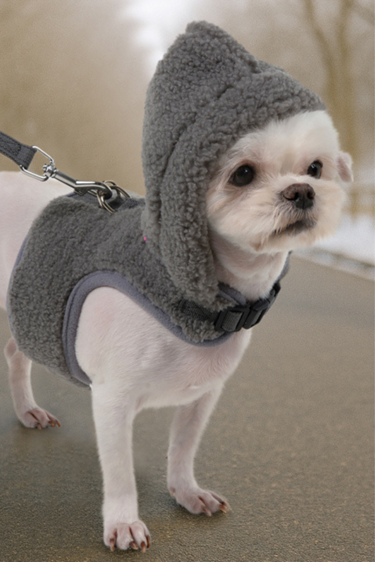 Pinkaholic New York Itzel Pinka Harness Köpek Göğüs Tasması Gri 