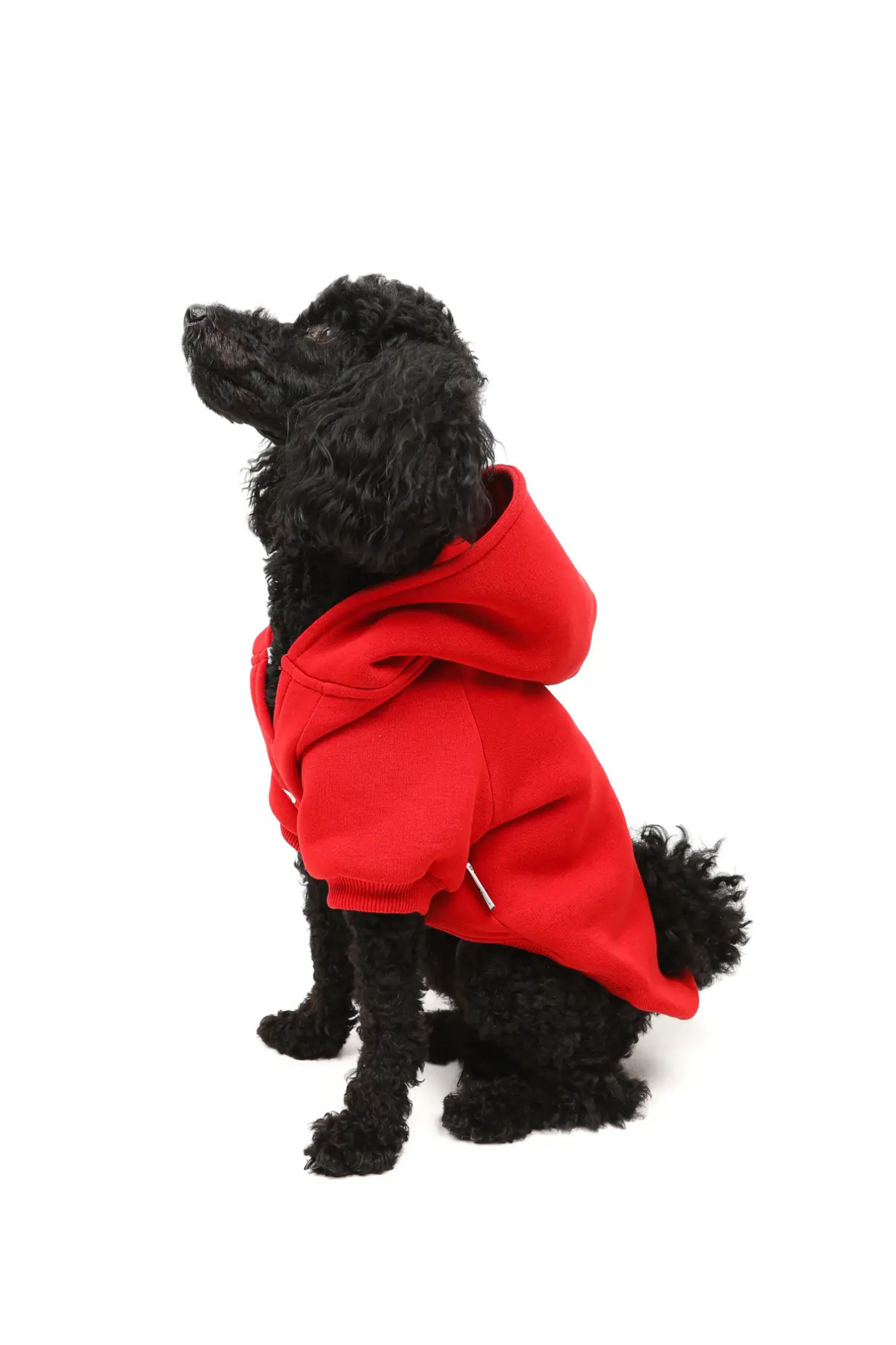 Goodboi Köpek Hoodie Kırmızı