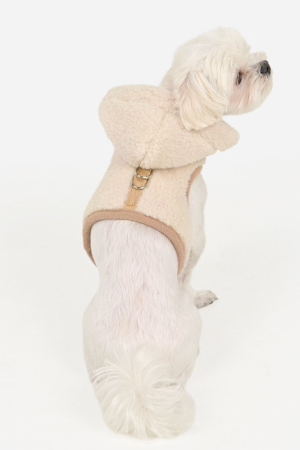 Pinkaholic New York Itzel Pinka Harness Köpek Göğüs Tasması Bej 