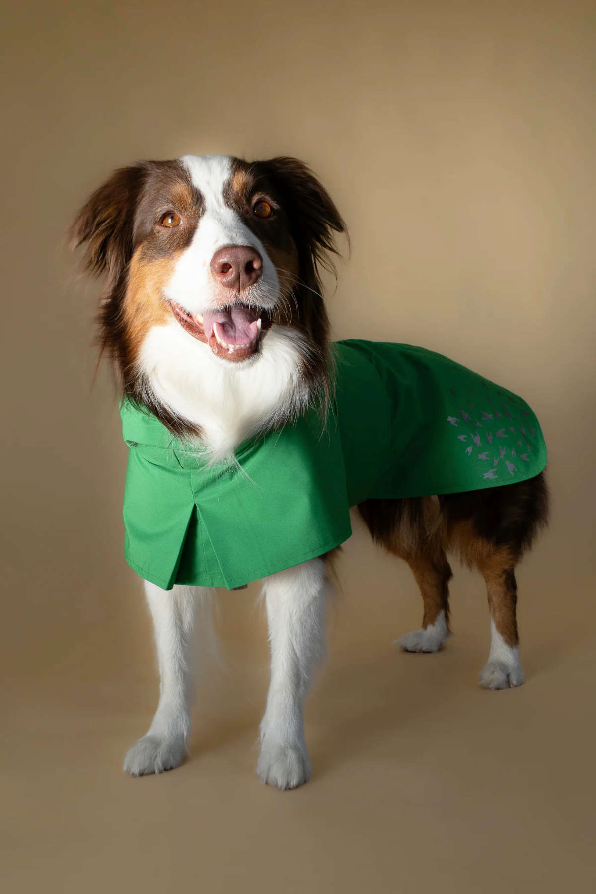 Seattle Raincoat | Evergreen
