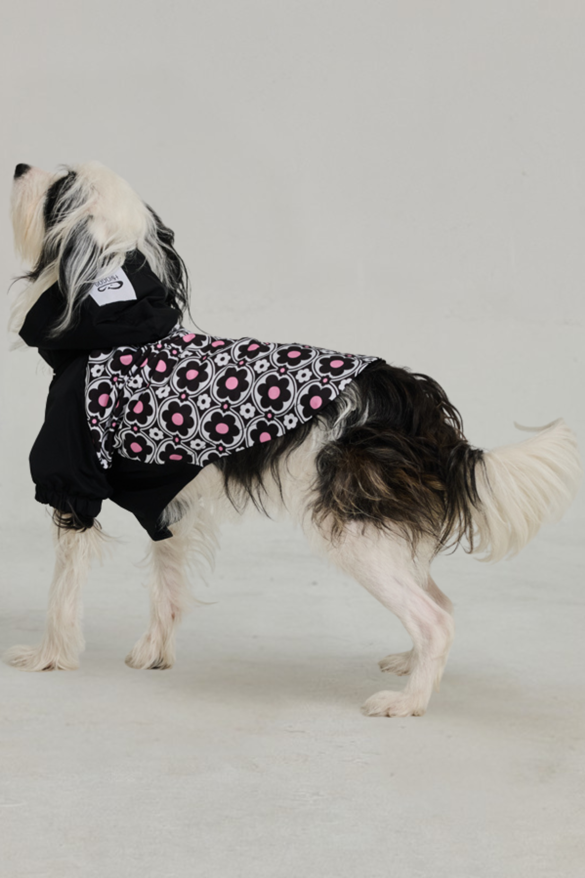 Godoist Köpek Yağmurluk - Raincoat Series - Milla