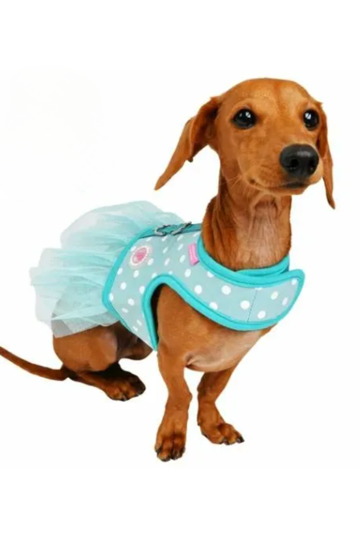 Pinkaholic New York Ida Pinka Harness Göğüs Tasması Mint Yeşil 