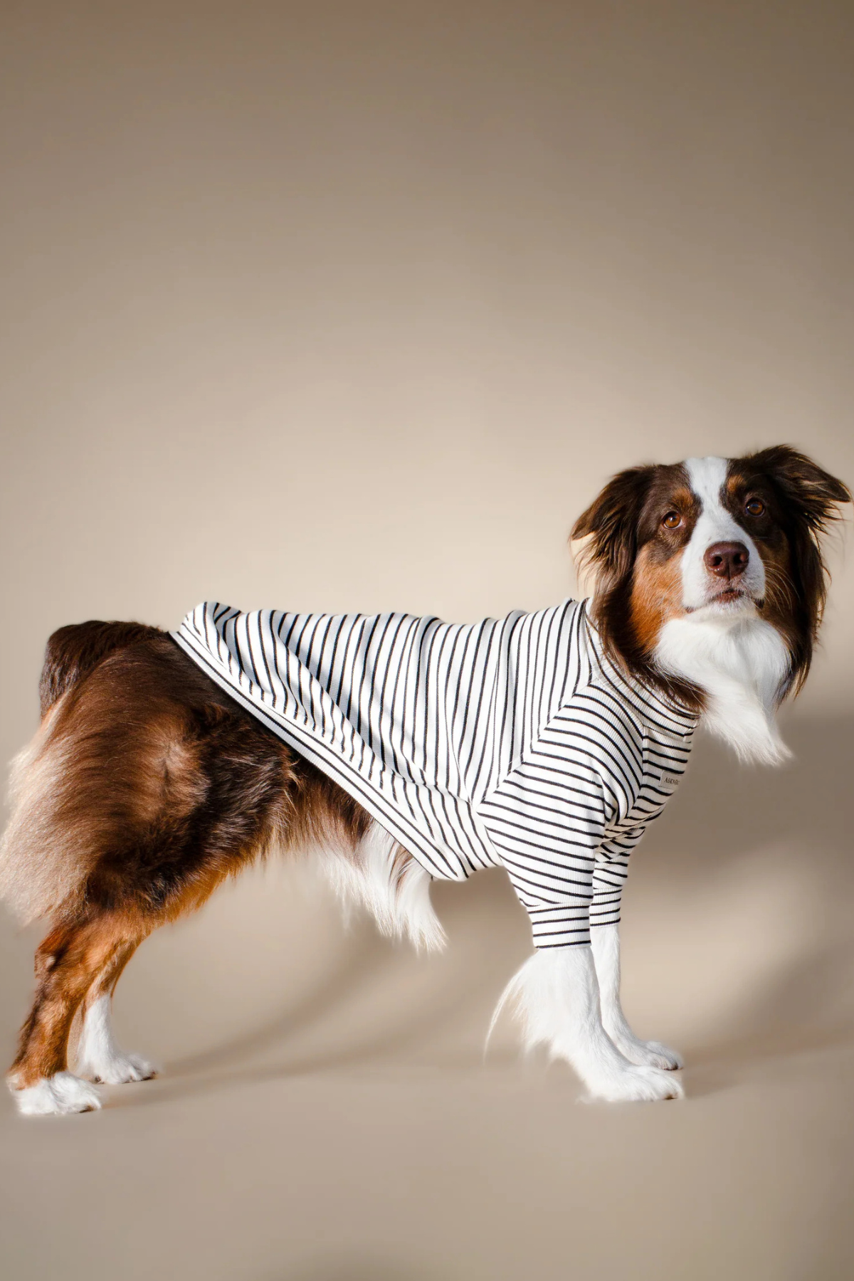 Asky&Erd Turtleneck Tshirt | Classic Stripe
