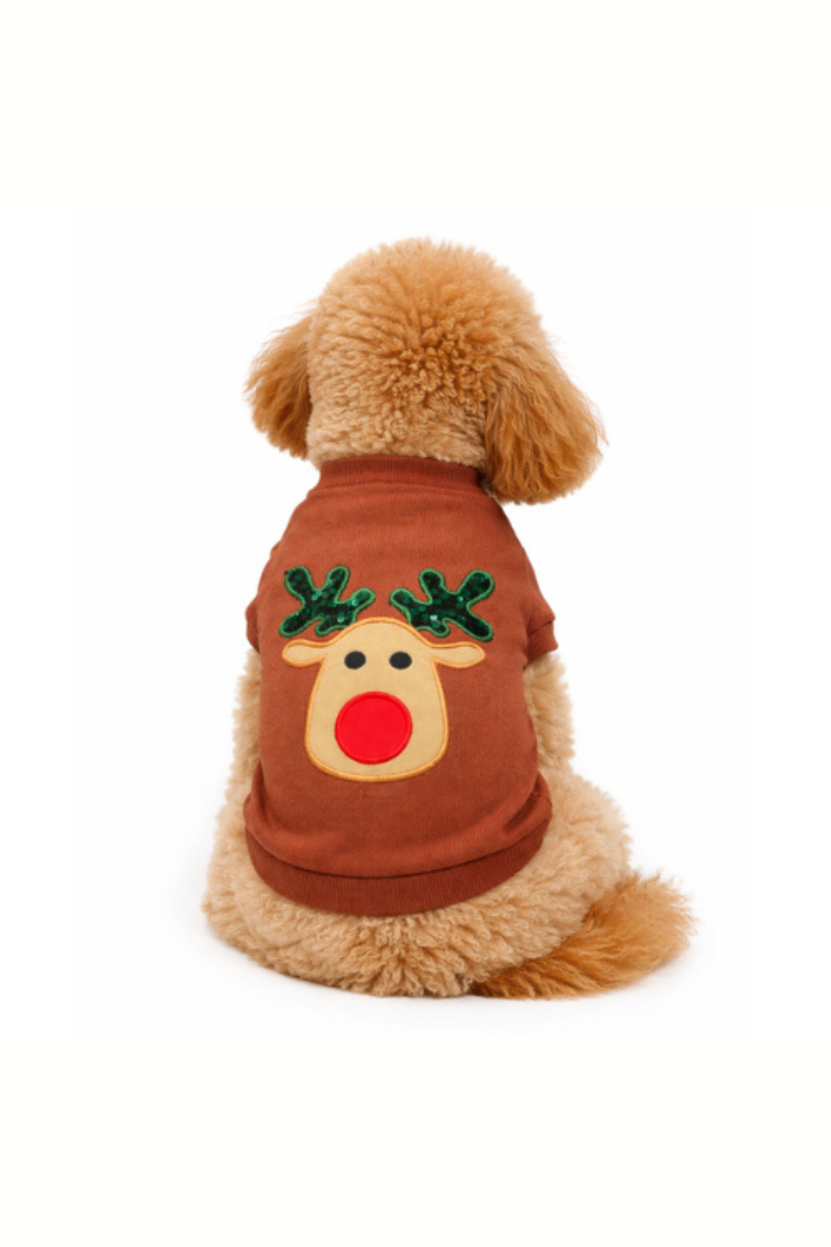 Gedyco Geyikli  Köpek Sweatshirt Camel