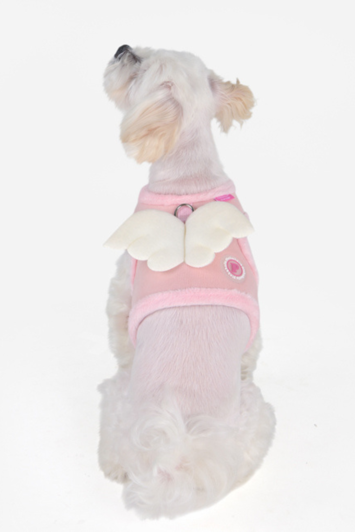 Pinkaholic Peliah Pinka Harness Köpek Göğüs Tasması Pembe