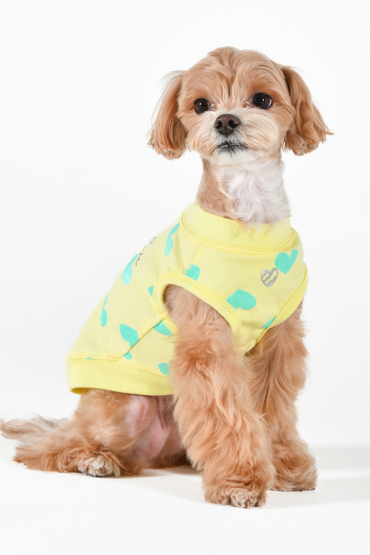 Pinkaholic New York Sonata Of Love Kolsuz T-shirt Sarı